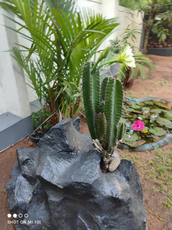 Homestay Vyshnavi Thanniyam